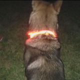 LED Pet Collar